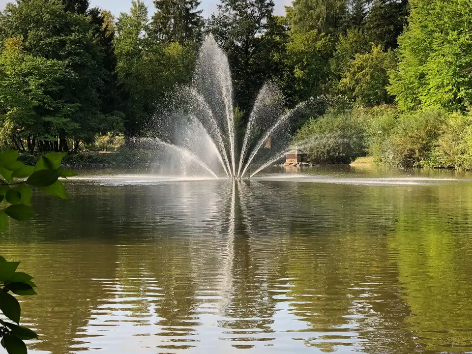 Teich mit Wasserfontäne