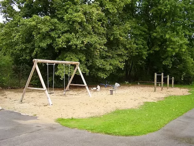 Spielplatz mit Schaukel für zwei Kinder, zwei Schaukeltiere, sandiger Boden, Sitzbank, Reck mit 3 verschiedenen Höhen 